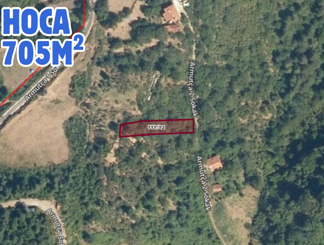 Fotoğraf